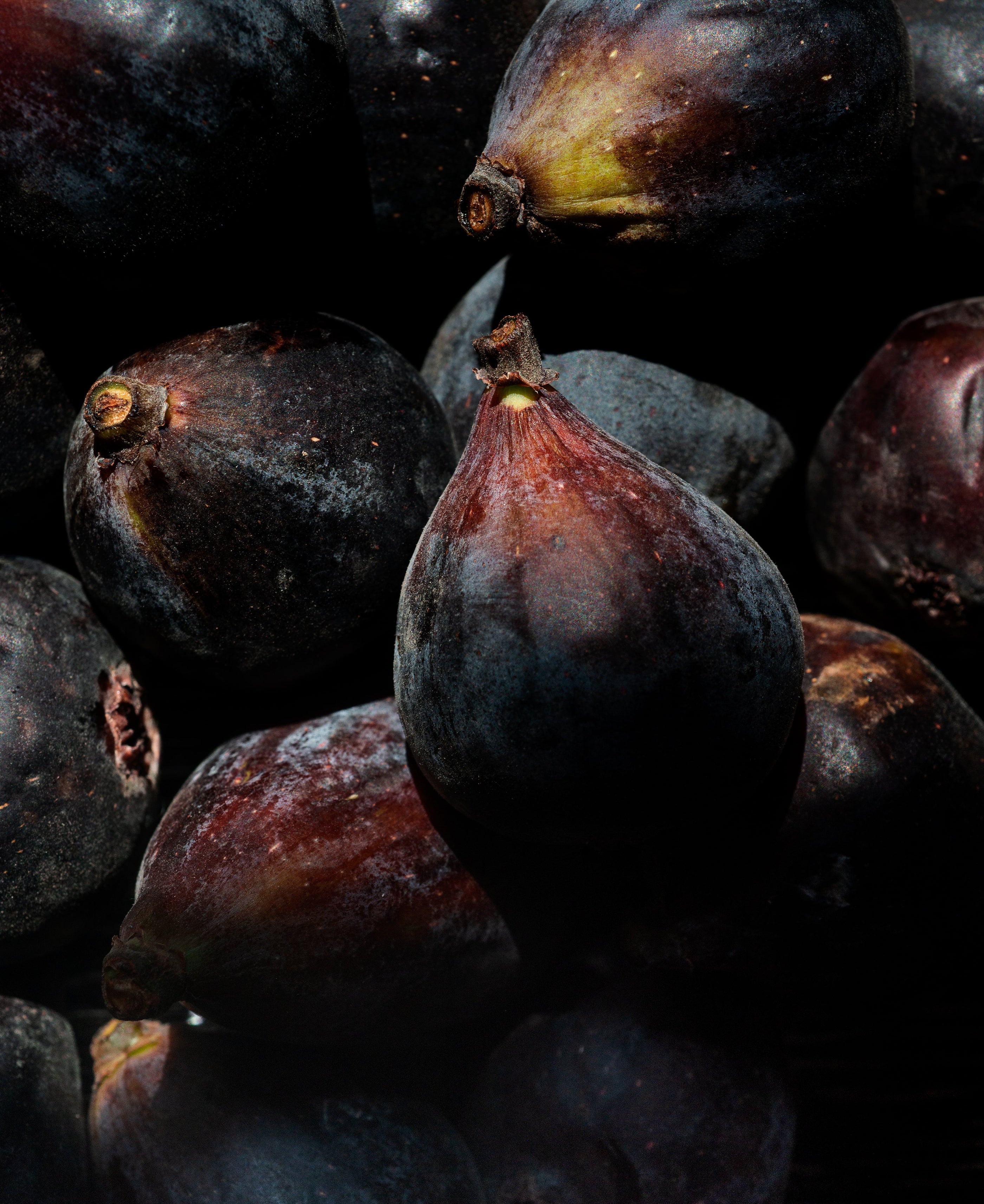 Fresh Figs